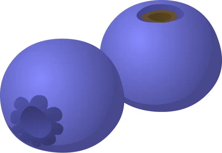 Two Blue Berries with Green Leaves
