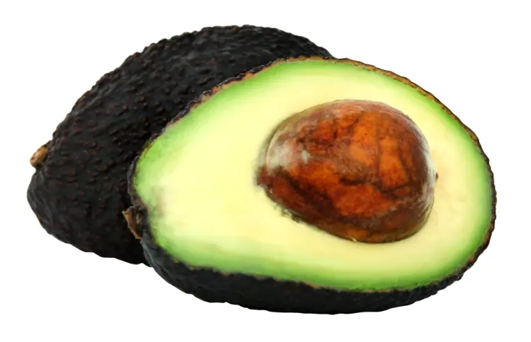 Sliced Avocado