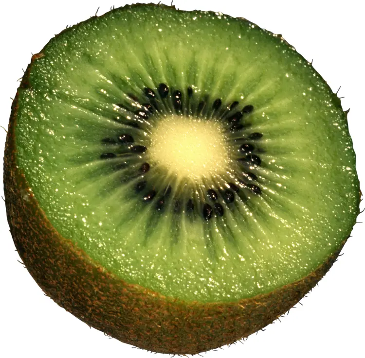 Green Sliced Kiwi with Seeds