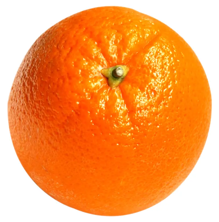 Juicy Orange Fruit