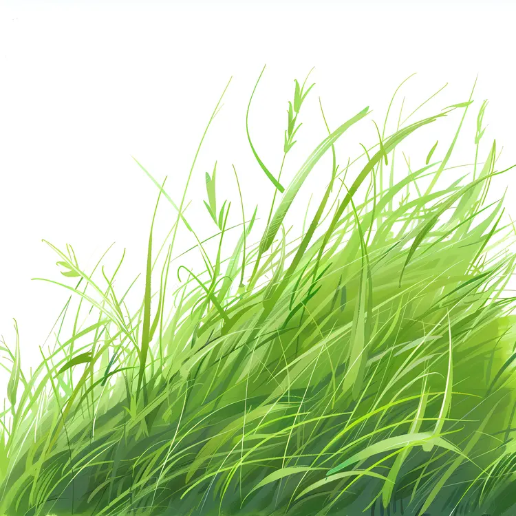 Lush Green Grass Illustration
