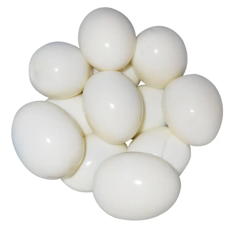 Boiled Eggs
