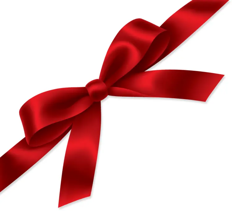 Elegant Red Ribbon for Gift Wrapping