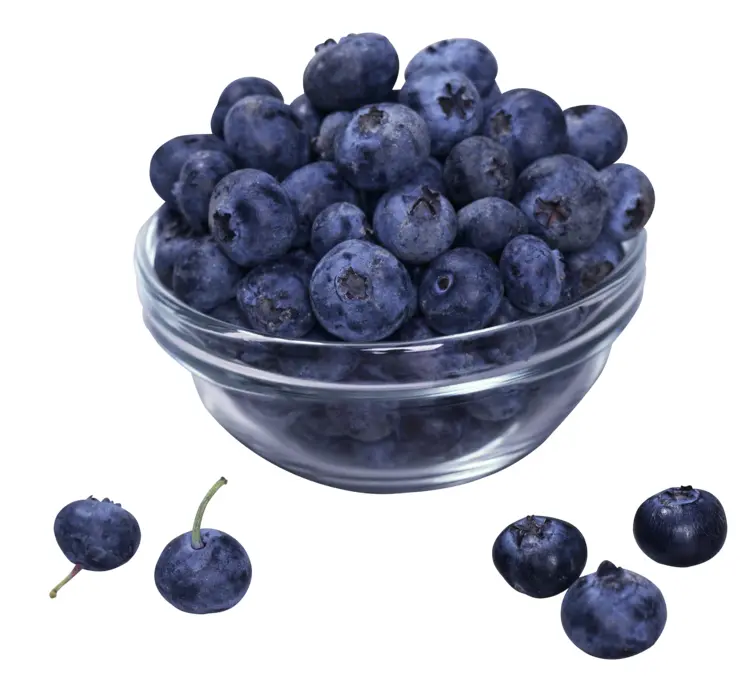 Bowl of Fresh Blueberries