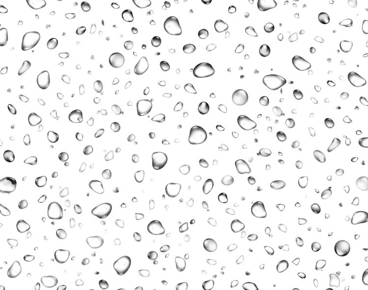 Water Droplets on Transparent Background