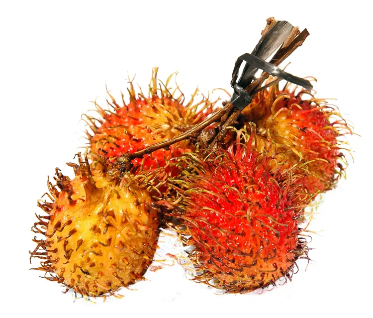 Cluster of Rambutan Fruits