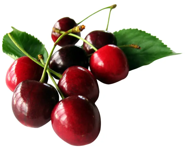 Cluster of Fresh Red Cherries