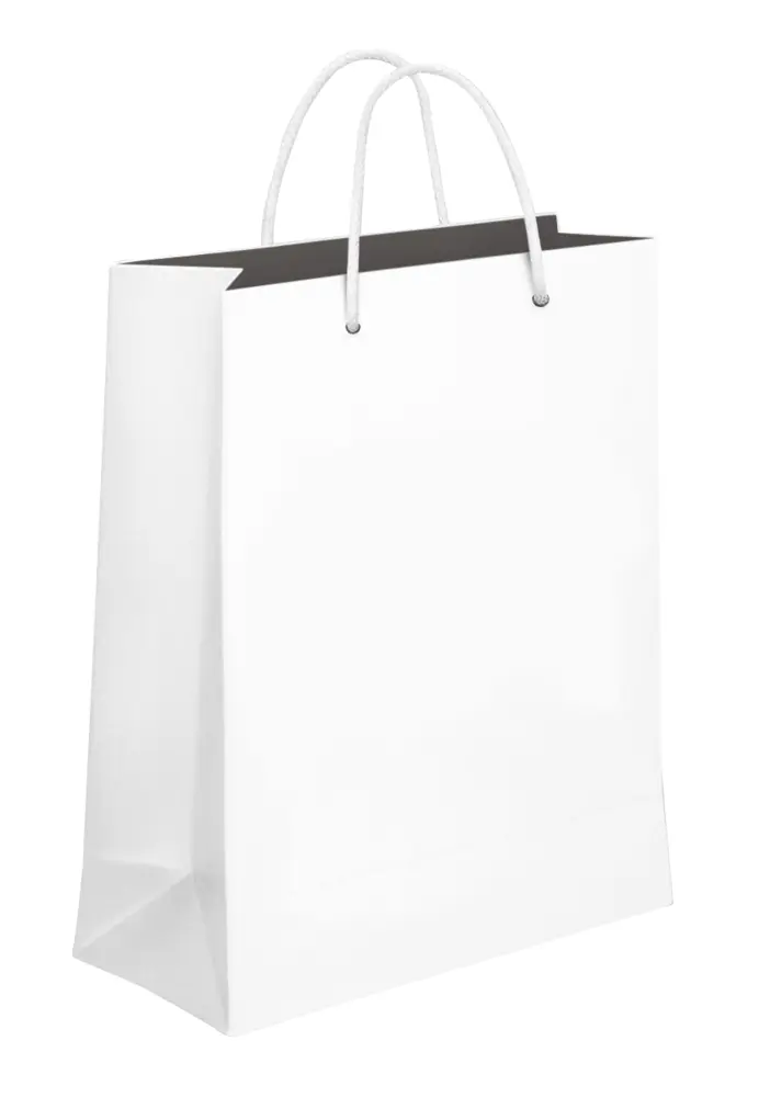 White Paper Shopping Bag