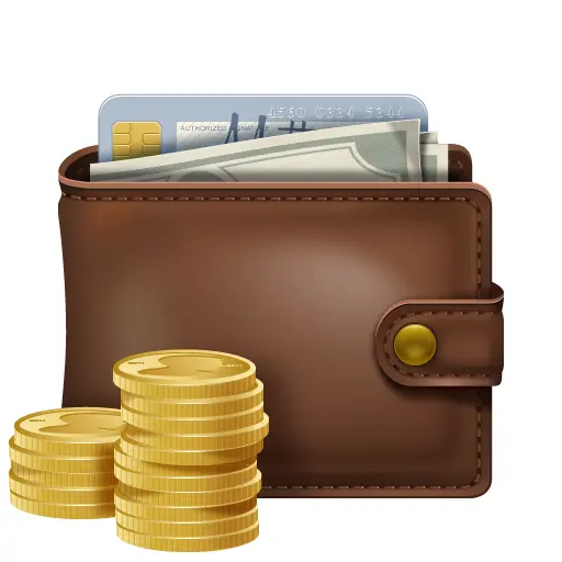 Brown Wallet with Coins and Cash
