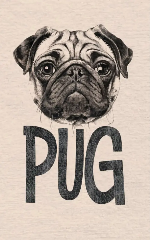 Cute Pug Illustration