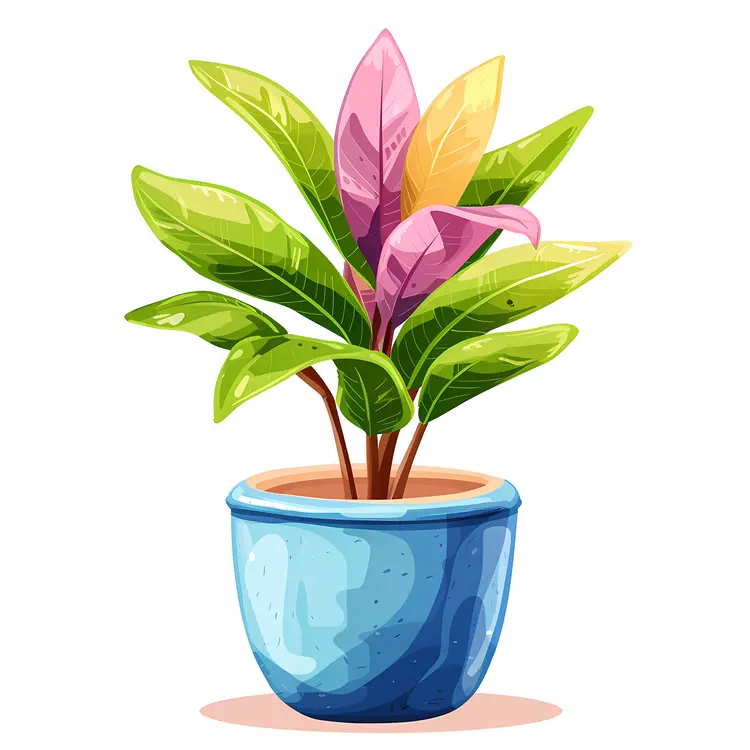 Green and Pink Potted Plant Illustration