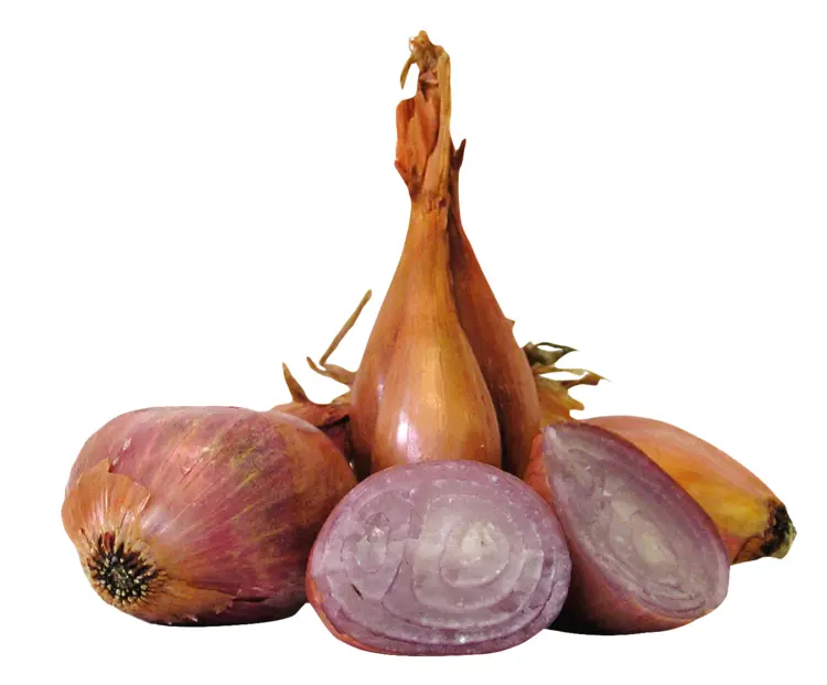 Red Shallots