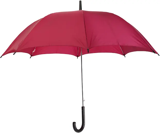 Red Umbrella with Black Handle