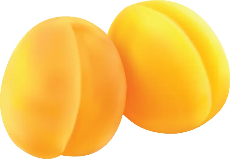 Two Yellow Apricots