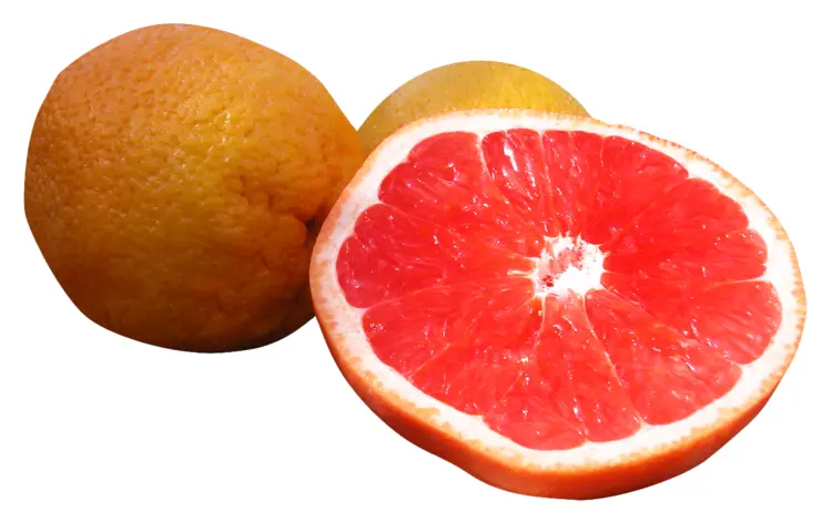 Whole and Sliced Grapefruit