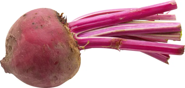 Fresh Red Beet Root