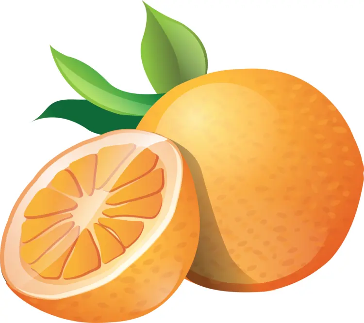 Orange with Slice and Leaves