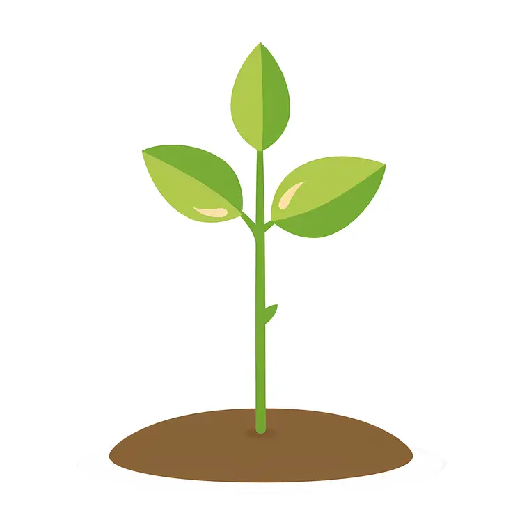 Green Plant Growing in Soil