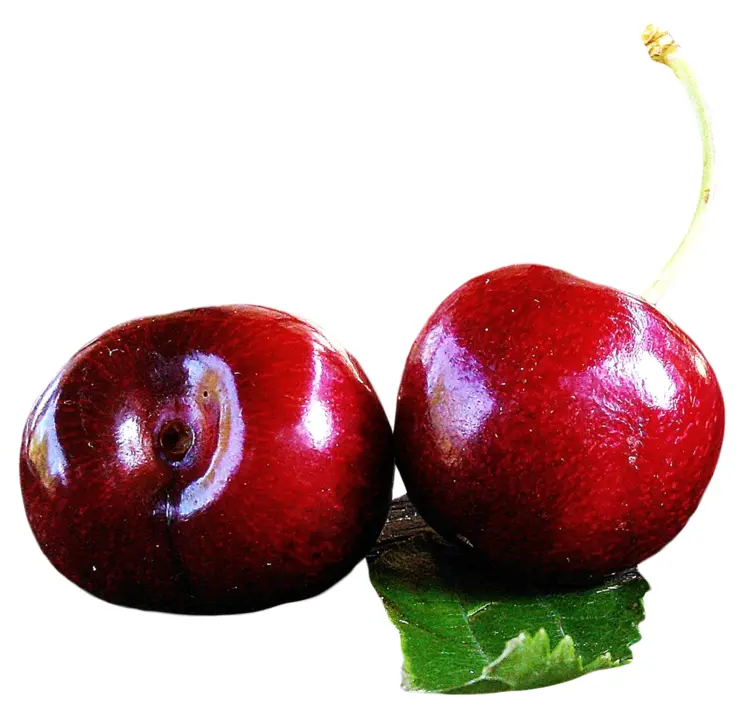 Fresh Red Cherries with Leaf