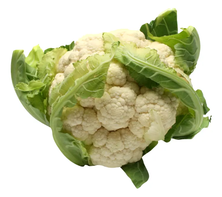 Fresh Cauliflower with Green Leaves