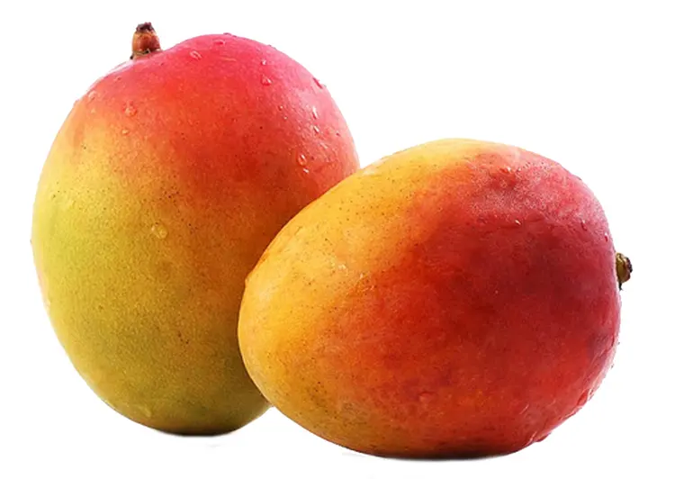 Two Ripe Mangoes