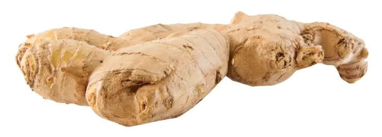 Fresh Ginger Root