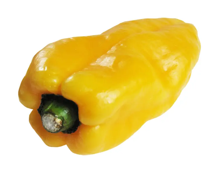 Yellow Bell Pepper Vegetable