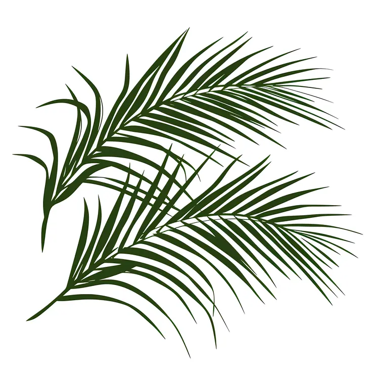 Green Palm Leaves Illustration