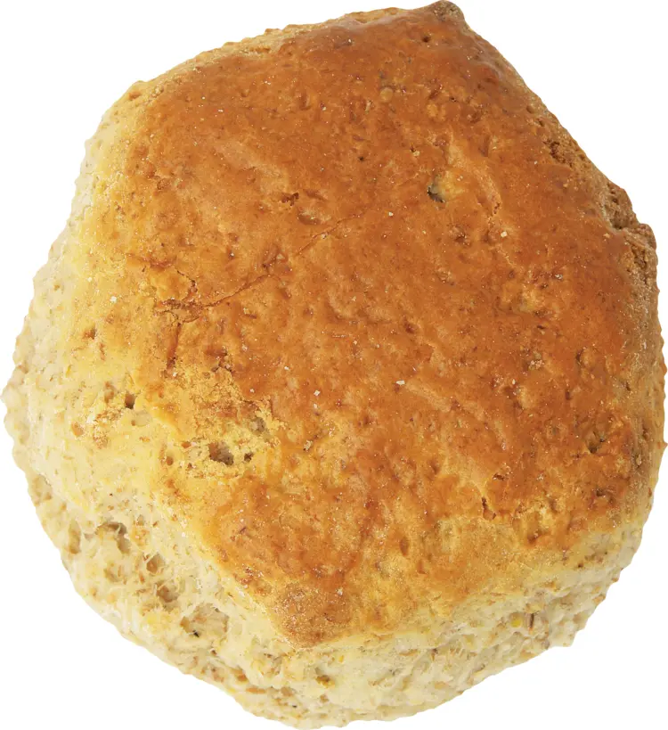 Whole Grain Bread Roll