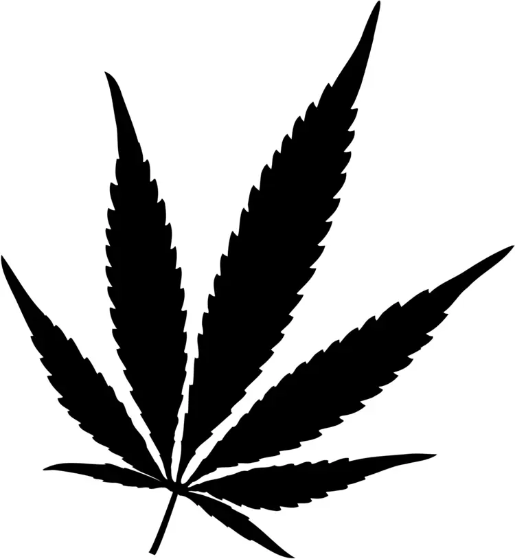 Black Cannabis Leaf Illustration