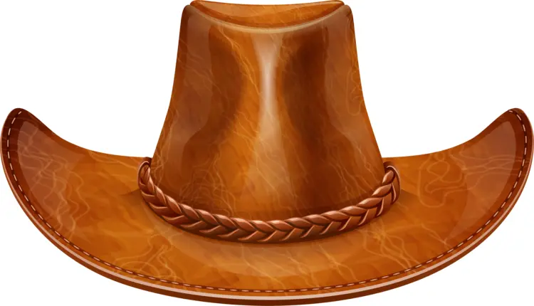 Brown Leather Cowboy Hat