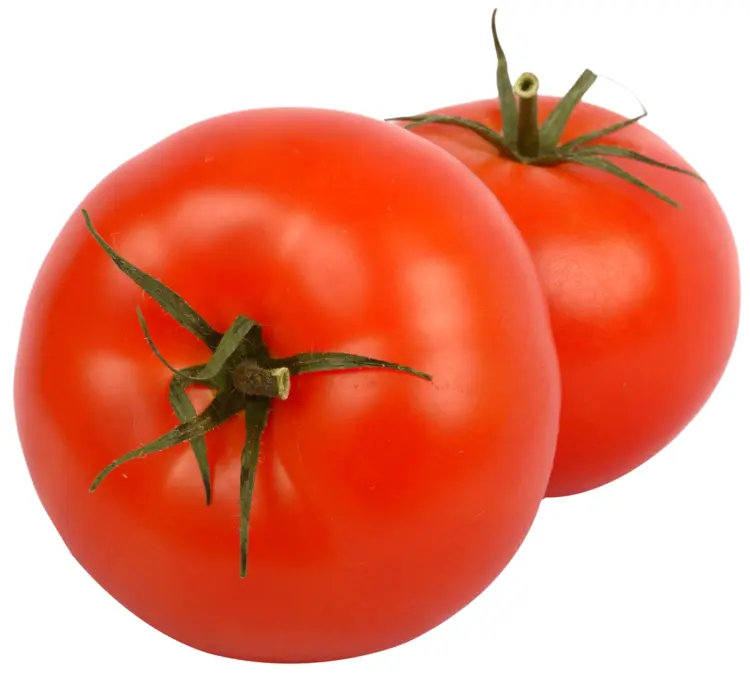Fresh Red Tomatoes with Green Stems