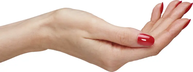 Hand Gesture for Communication