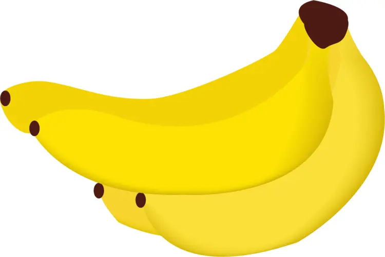 Bunch of Yellow Bananas