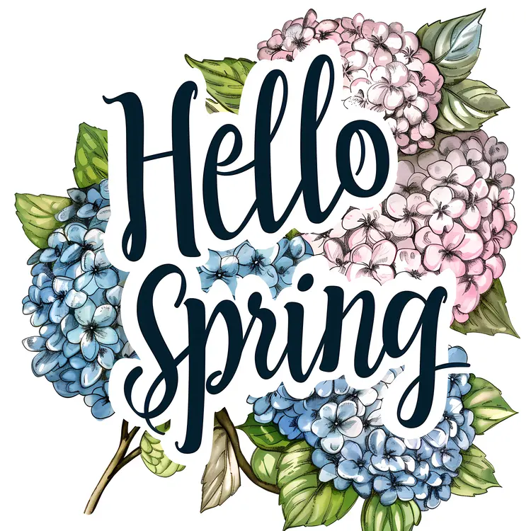 Hello Spring with Colorful Hydrangeas