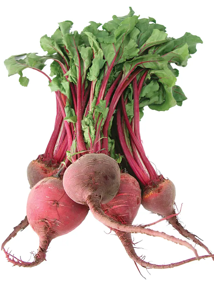 Fresh Red Beetroot