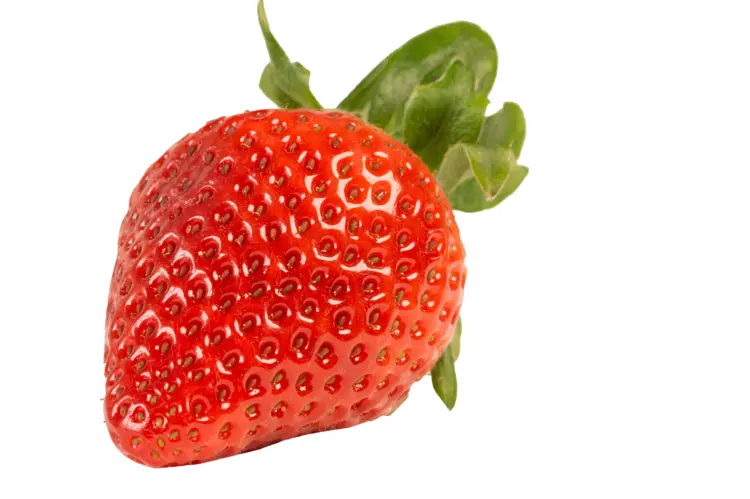 Single Fresh Red Strawberry