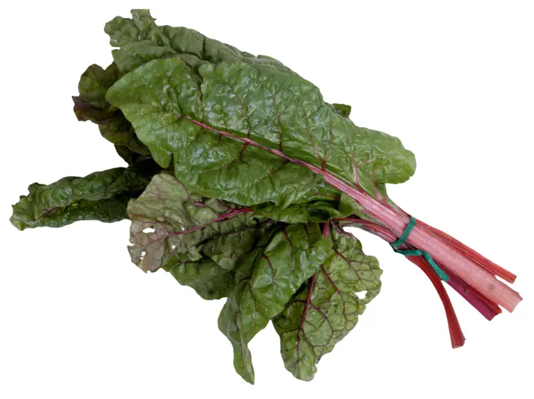 Fresh Swiss Chard