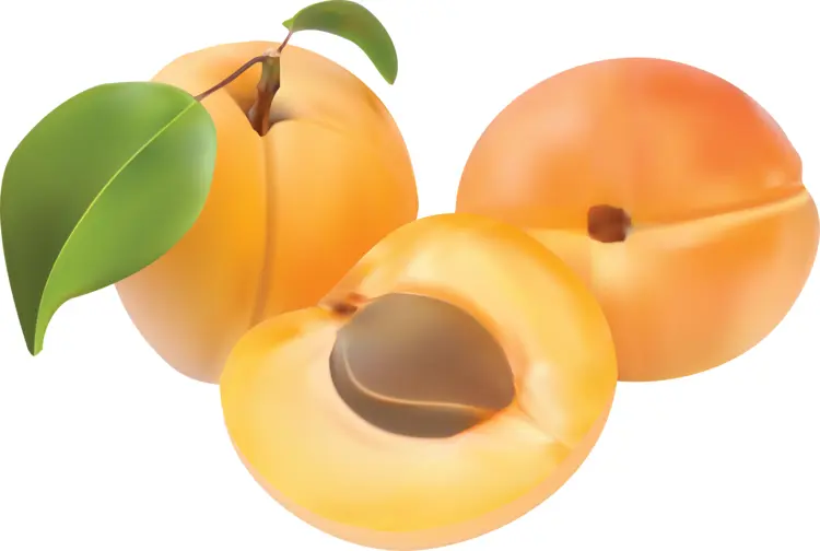 Three Apricots with Leaves and a Cut Half