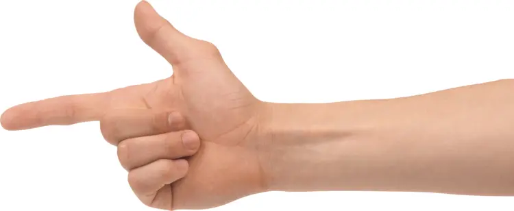 Hand Pointing Gesture
