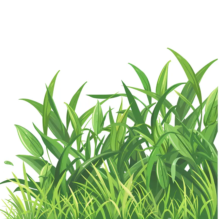 Tall Green Grass