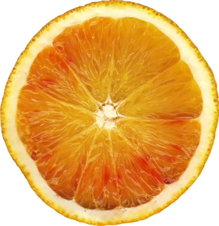 Fresh Orange Slice
