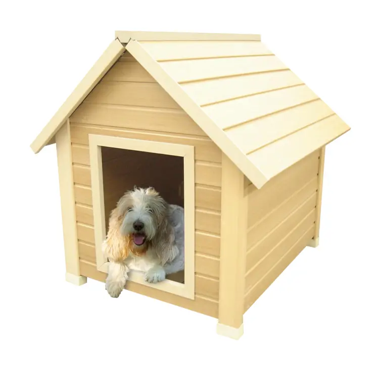 Cute Dog in Wooden House