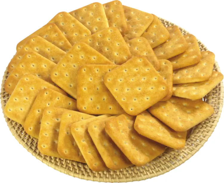 Crispy Square Crackers