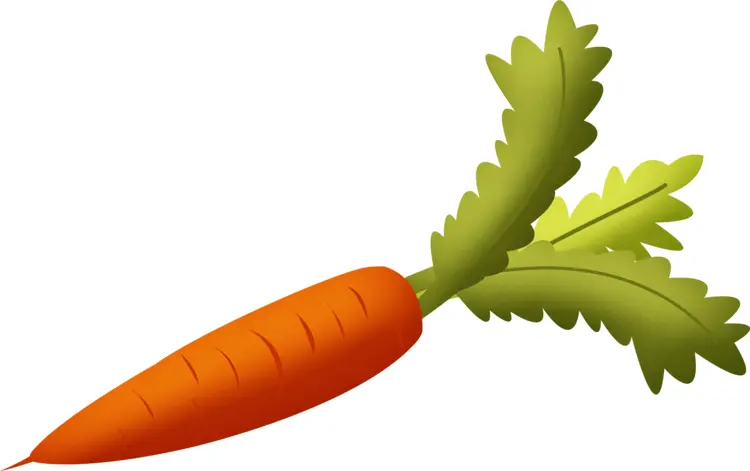 Fresh Orange Carrot with Leaves