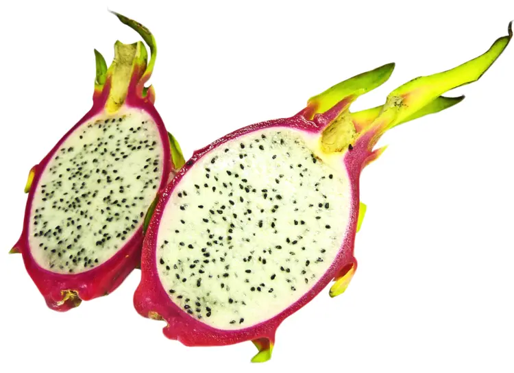Vibrant Dragon Fruit Halves