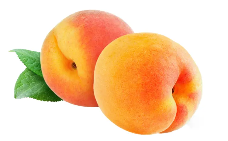 Fresh Juicy Peaches with Leaves