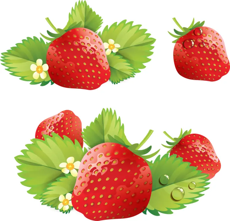 Fresh Juicy Strawberries with Leaves and Flowers