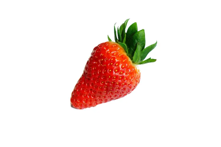 Single Fresh Red Strawberry
