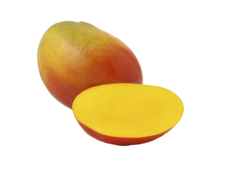 Juicy Mango with Slice